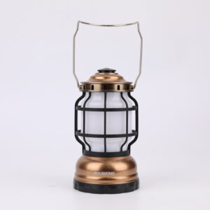 Houshome Vintage Camping Lights, Led Flashlight for Power Outages, Battery Operated Lamp for Emergencies